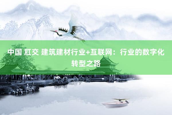 中国 肛交 建筑建材行业+互联网：行业的数字化转型之路