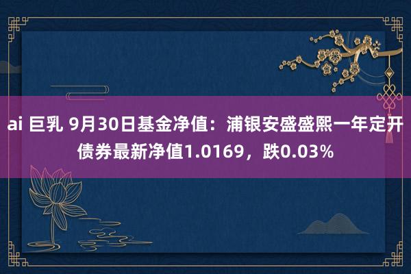 ai 巨乳 9月30日基金净值：浦银安盛盛熙一年定开债券最新净值1.0169，跌0.03%