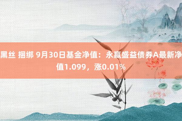 黑丝 捆绑 9月30日基金净值：永赢盛益债券A最新净值1.099，涨0.01%