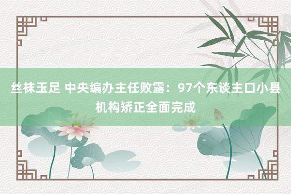 丝袜玉足 中央编办主任败露：97个东谈主口小县机构矫正全面完成