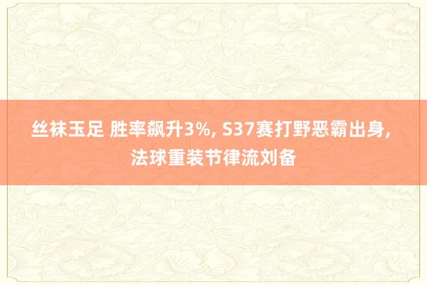 丝袜玉足 胜率飙升3%， S37赛打野恶霸出身， 法球重装节律流刘备