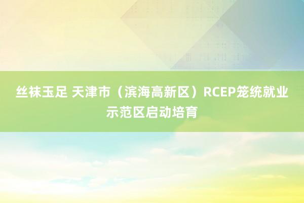 丝袜玉足 天津市（滨海高新区）RCEP笼统就业示范区启动培育