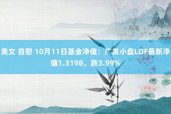 美女 自慰 10月11日基金净值：广发小盘LOF最新净值1.3198，跌3.99%