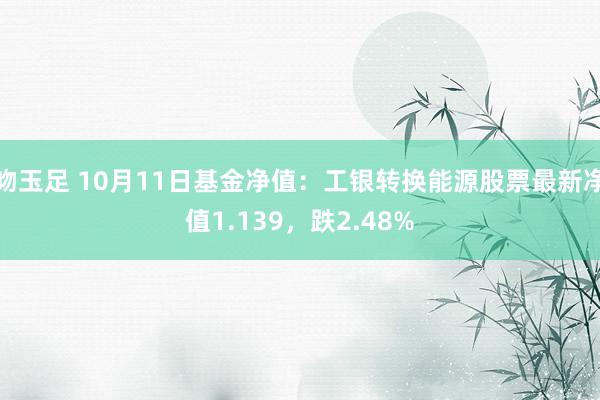 吻玉足 10月11日基金净值：工银转换能源股票最新净值1.139，跌2.48%