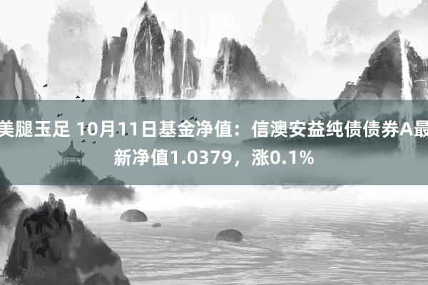 美腿玉足 10月11日基金净值：信澳安益纯债债券A最新净值1.0379，涨0.1%