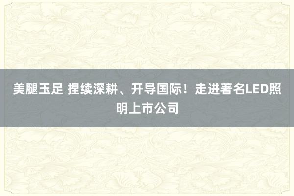 美腿玉足 捏续深耕、开导国际！走进著名LED照明上市公司