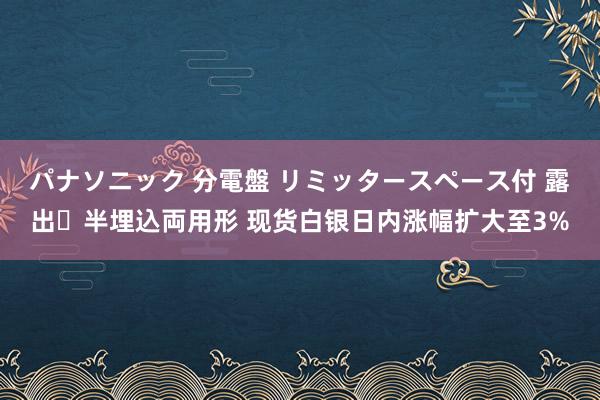 パナソニック 分電盤 リミッタースペース付 露出・半埋込両用形 现货白银日内涨幅扩大至3%