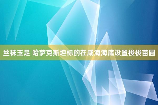 丝袜玉足 哈萨克斯坦标的在咸海海底设置梭梭苗圃