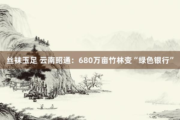 丝袜玉足 云南昭通：680万亩竹林变“绿色银行”