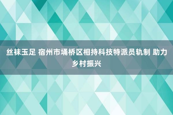 丝袜玉足 宿州市埇桥区相持科技特派员轨制 助力乡村振兴