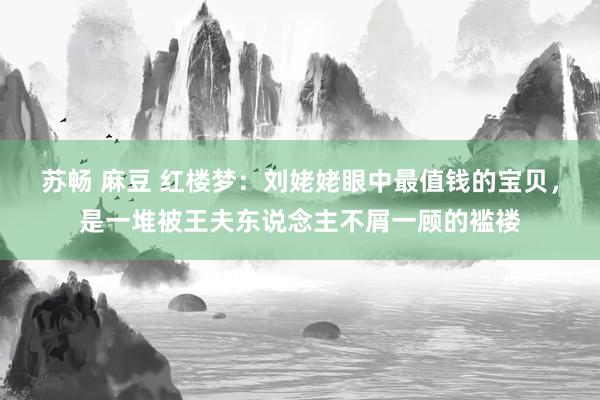 苏畅 麻豆 红楼梦：刘姥姥眼中最值钱的宝贝，是一堆被王夫东说念主不屑一顾的褴褛