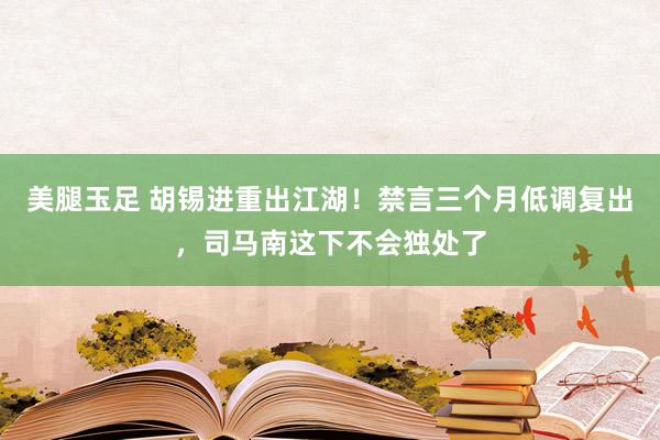 美腿玉足 胡锡进重出江湖！禁言三个月低调复出，司马南这下不会独处了