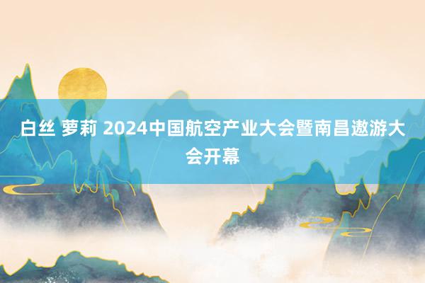 白丝 萝莉 2024中国航空产业大会暨南昌遨游大会开幕