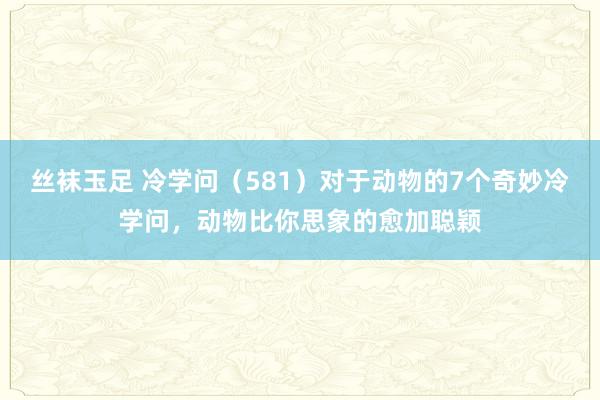 丝袜玉足 冷学问（581）对于动物的7个奇妙冷学问，动物比你思象的愈加聪颖