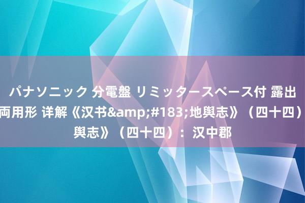 パナソニック 分電盤 リミッタースペース付 露出・半埋込両用形 详解《汉书&#183;地舆志》（四十四）：汉中郡