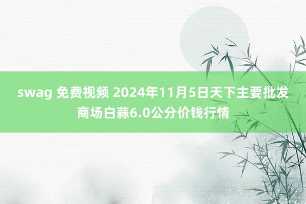 swag 免费视频 2024年11月5日天下主要批发商场白蒜6.0公分价钱行情