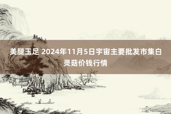 美腿玉足 2024年11月5日宇宙主要批发市集白灵菇价钱行情