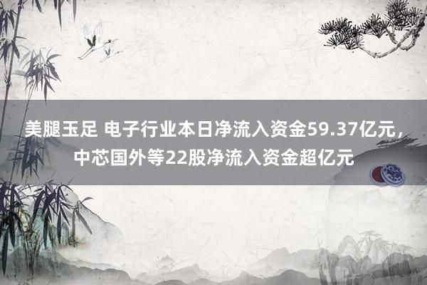 美腿玉足 电子行业本日净流入资金59.37亿元，中芯国外等22股净流入资金超亿元