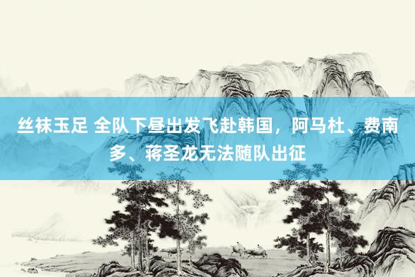 丝袜玉足 全队下昼出发飞赴韩国，阿马杜、费南多、蒋圣龙无法随队出征