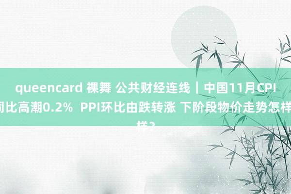 queencard 裸舞 公共财经连线｜中国11月CPI同比高潮0.2%  PPI环比由跌转涨 下阶段物价走势怎样？