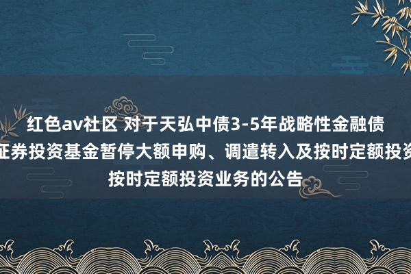 红色av社区 对于天弘中债3-5年战略性金融债指数发起式证券投资基金暂停大额申购、调遣转入及按时定额投资业务的公告