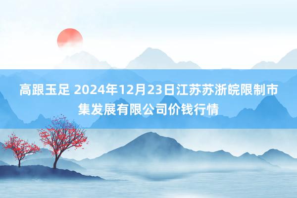 高跟玉足 2024年12月23日江苏苏浙皖限制市集发展有限公司价钱行情