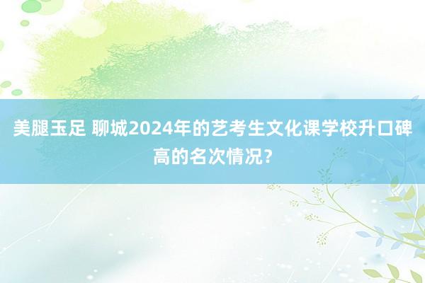 美腿玉足 聊城2024年的艺考生文化课学校升口碑高的名次情况？