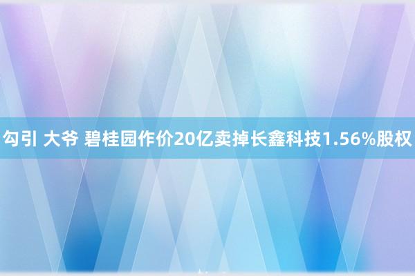 勾引 大爷 碧桂园作价20亿卖掉长鑫科技1.56%股权