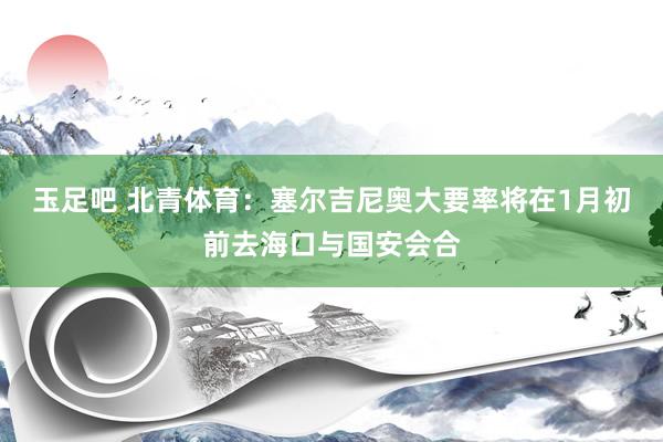 玉足吧 北青体育：塞尔吉尼奥大要率将在1月初前去海口与国安会合