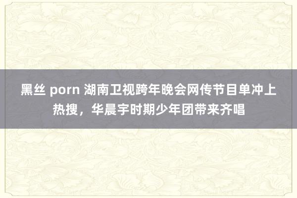 黑丝 porn 湖南卫视跨年晚会网传节目单冲上热搜，华晨宇时期少年团带来齐唱