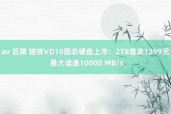 av 巨屌 铠侠VD10固态硬盘上市：2TB首发1299元 最大读速10000 MB/s