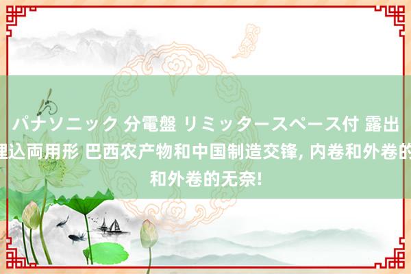 パナソニック 分電盤 リミッタースペース付 露出・半埋込両用形 巴西农产物和中国制造交锋， 内卷和外卷的无奈!