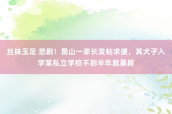 丝袜玉足 悲剧！昆山一家长发帖求援，其犬子入学某私立学校不到半年就暴毙