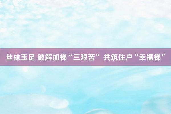 丝袜玉足 破解加梯“三艰苦” 共筑住户“幸福梯”