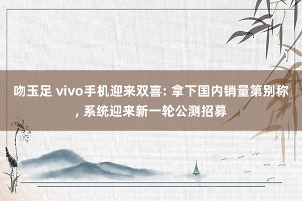 吻玉足 vivo手机迎来双喜: 拿下国内销量第别称， 系统迎来新一轮公测招募