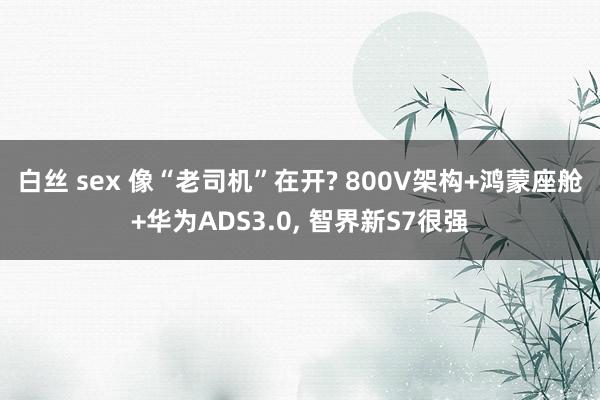 白丝 sex 像“老司机”在开? 800V架构+鸿蒙座舱+华为ADS3.0， 智界新S7很强