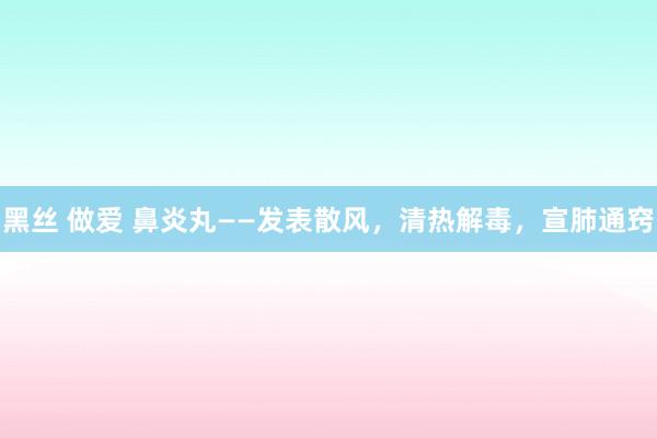 黑丝 做爱 鼻炎丸——发表散风，清热解毒，宣肺通窍