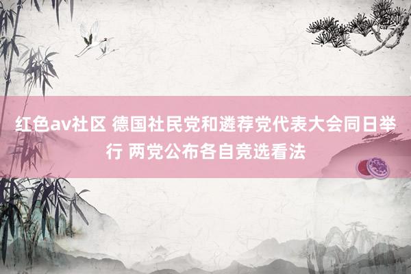 红色av社区 德国社民党和遴荐党代表大会同日举行 两党公布各自竞选看法