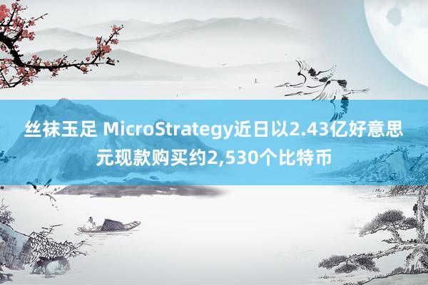 丝袜玉足 MicroStrategy近日以2.43亿好意思元现款购买约2，530个比特币