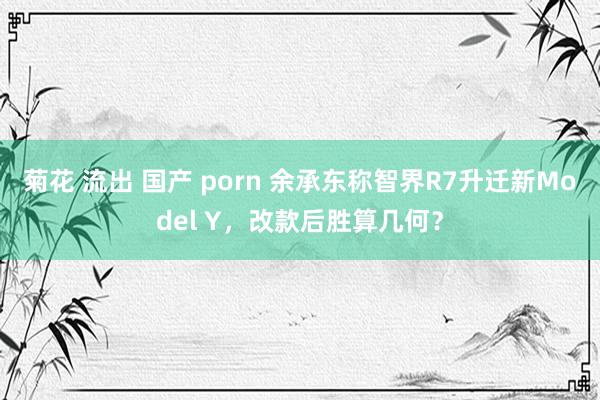 菊花 流出 国产 porn 余承东称智界R7升迁新Model Y，改款后胜算几何？