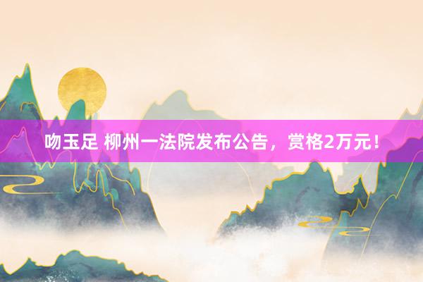 吻玉足 柳州一法院发布公告，赏格2万元！