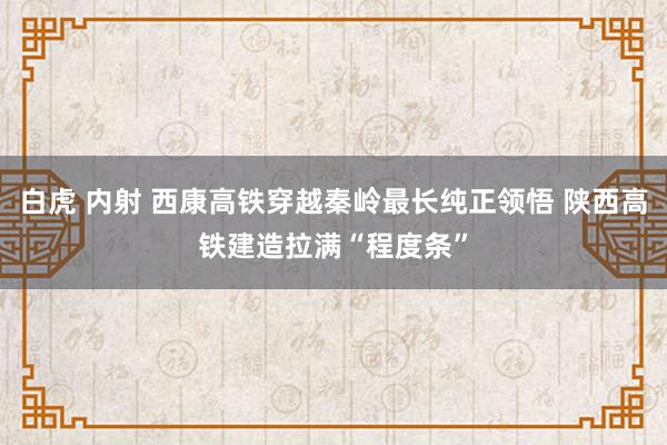 白虎 内射 西康高铁穿越秦岭最长纯正领悟 陕西高铁建造拉满“程度条”