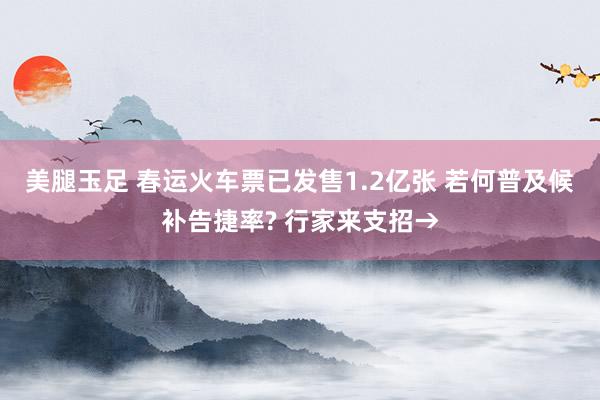 美腿玉足 春运火车票已发售1.2亿张 若何普及候补告捷率? 行家来支招→