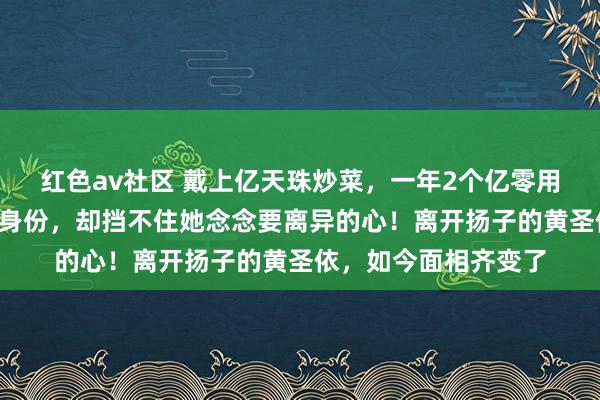 红色av社区 戴上亿天珠炒菜，一年2个亿零用钱，藏了8年才公开身份，却挡不住她念念要离异的心！离开扬子的黄圣依，如今面相齐变了